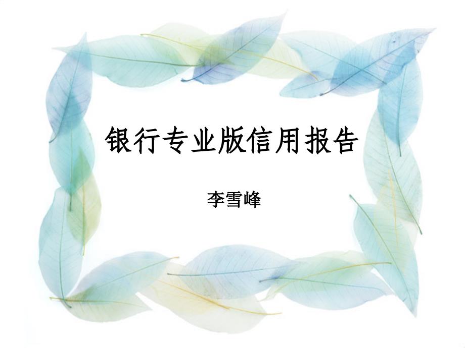 个人信用报告(银行专业版)使用说明_第1页