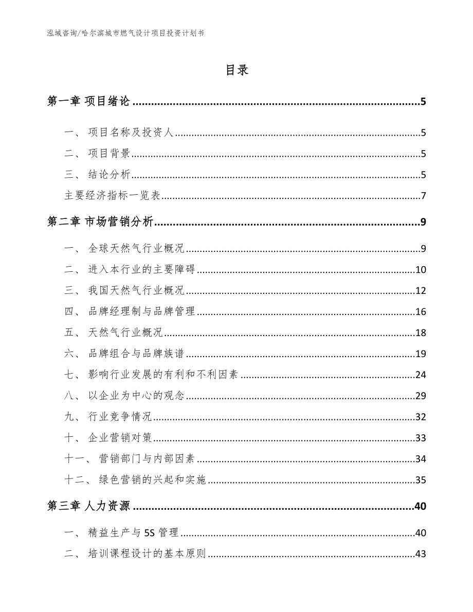 哈尔滨城市燃气设计项目投资计划书_第1页