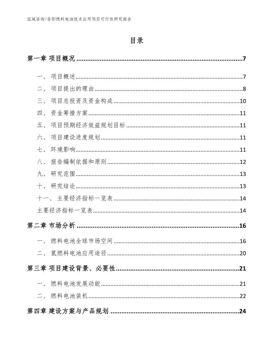 岳阳燃料电池技术应用项目可行性研究报告范文参考_第1页