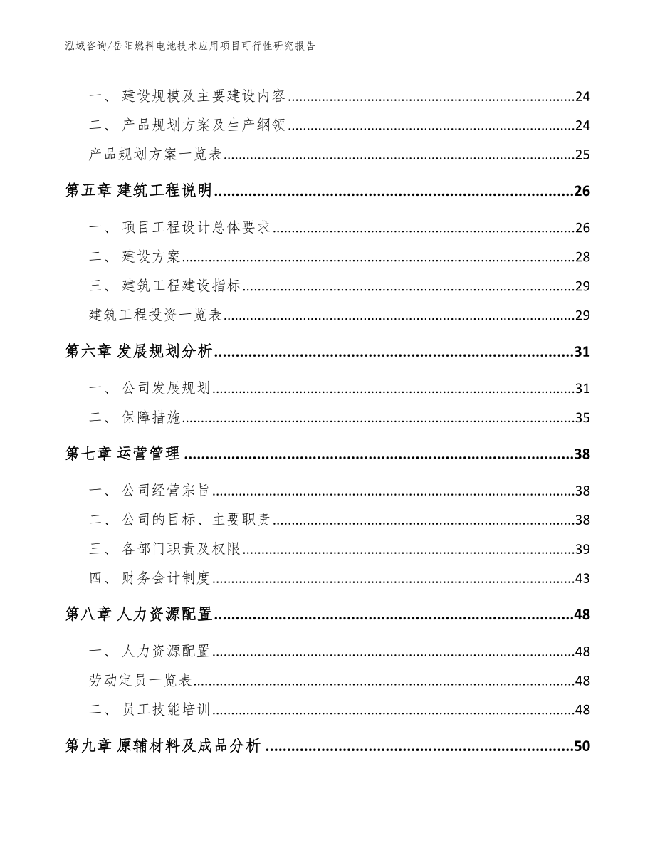 岳阳燃料电池技术应用项目可行性研究报告范文参考_第2页