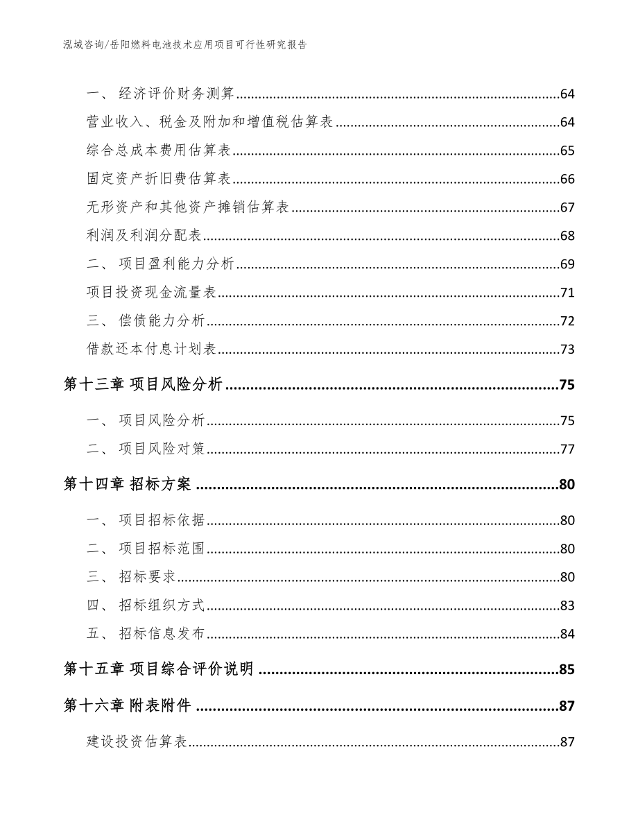 岳阳燃料电池技术应用项目可行性研究报告范文参考_第4页