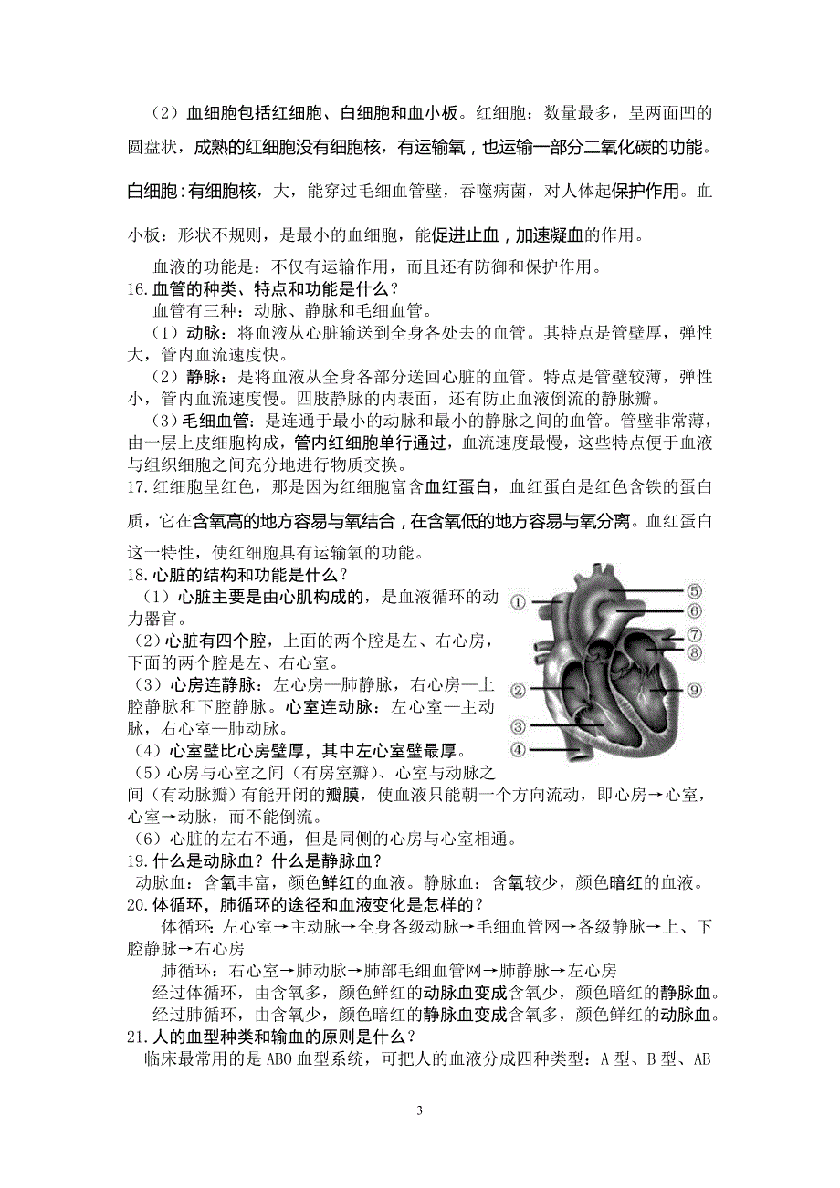 七年级下册生物学知识1_第3页