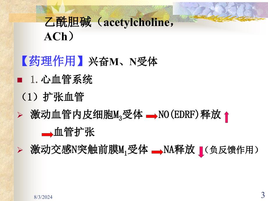 第6讲-胆碱受体激动药课件_第3页