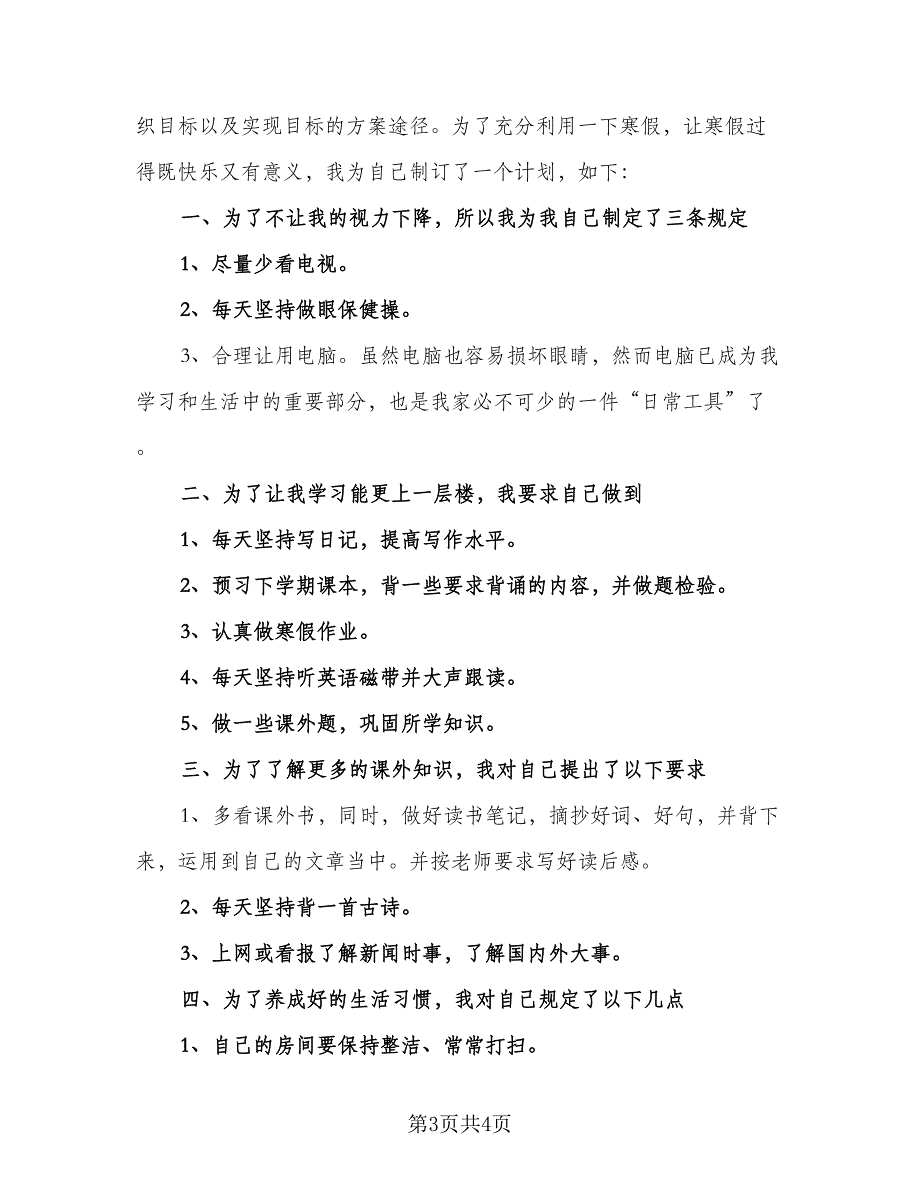 2023寒假初中生复习与学习计划（二篇）_第3页