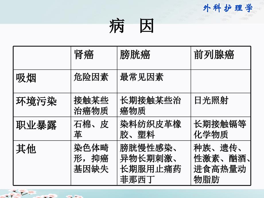 第四十章泌尿男性生殖系统肿瘤病人的护理_第5页