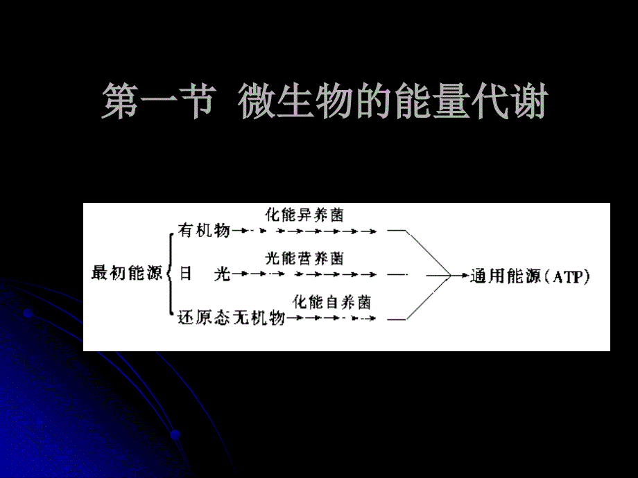 第 六 章 微生物代谢_第3页