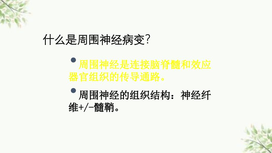 关注糖尿病神经病变ppt课件_第2页