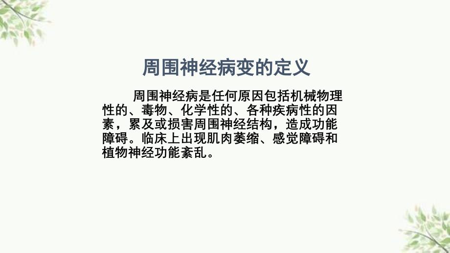 关注糖尿病神经病变ppt课件_第4页