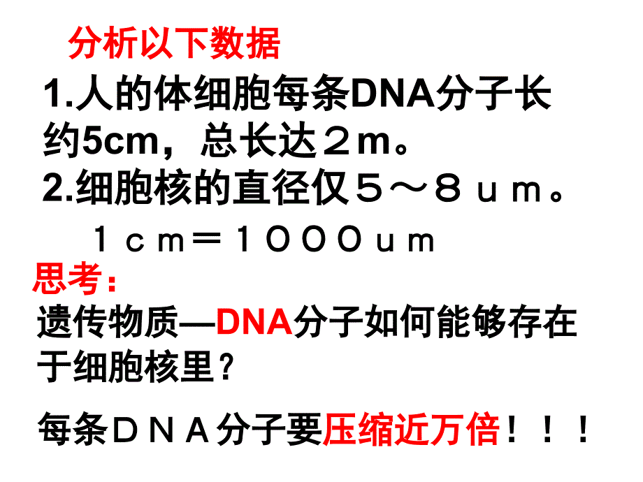 人教版八下第二章第二节基因在亲子代间的传递（共39张PPT）_第4页