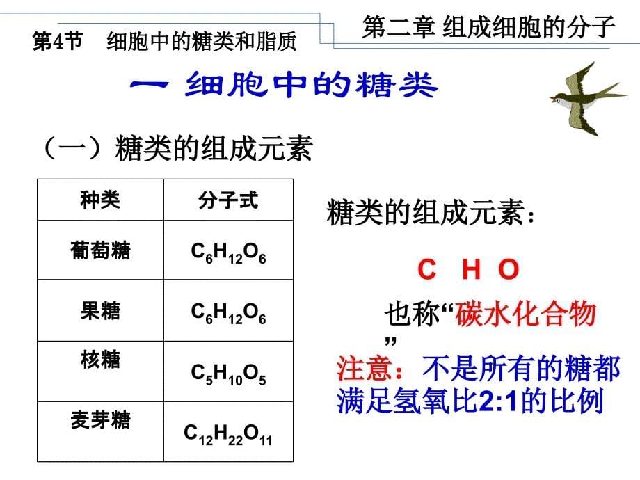 《24+细胞中的糖类和脂质》教学课件(PPT)_第5页