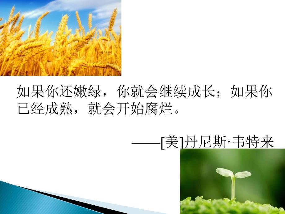 高校常用教学方法及特点课件.ppt_第2页