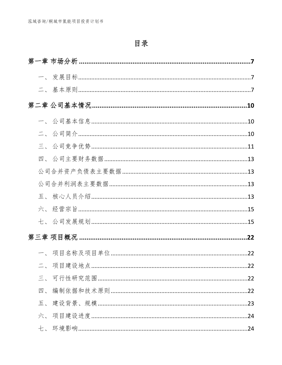 桐城市氢能项目投资计划书_参考范文_第1页