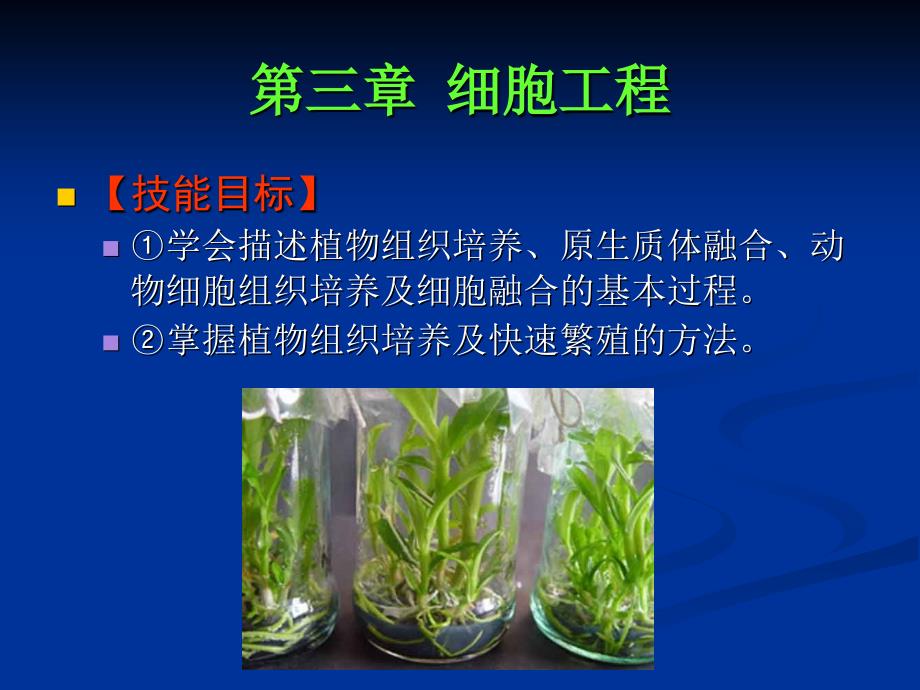 植物细胞工程及其应用_第3页