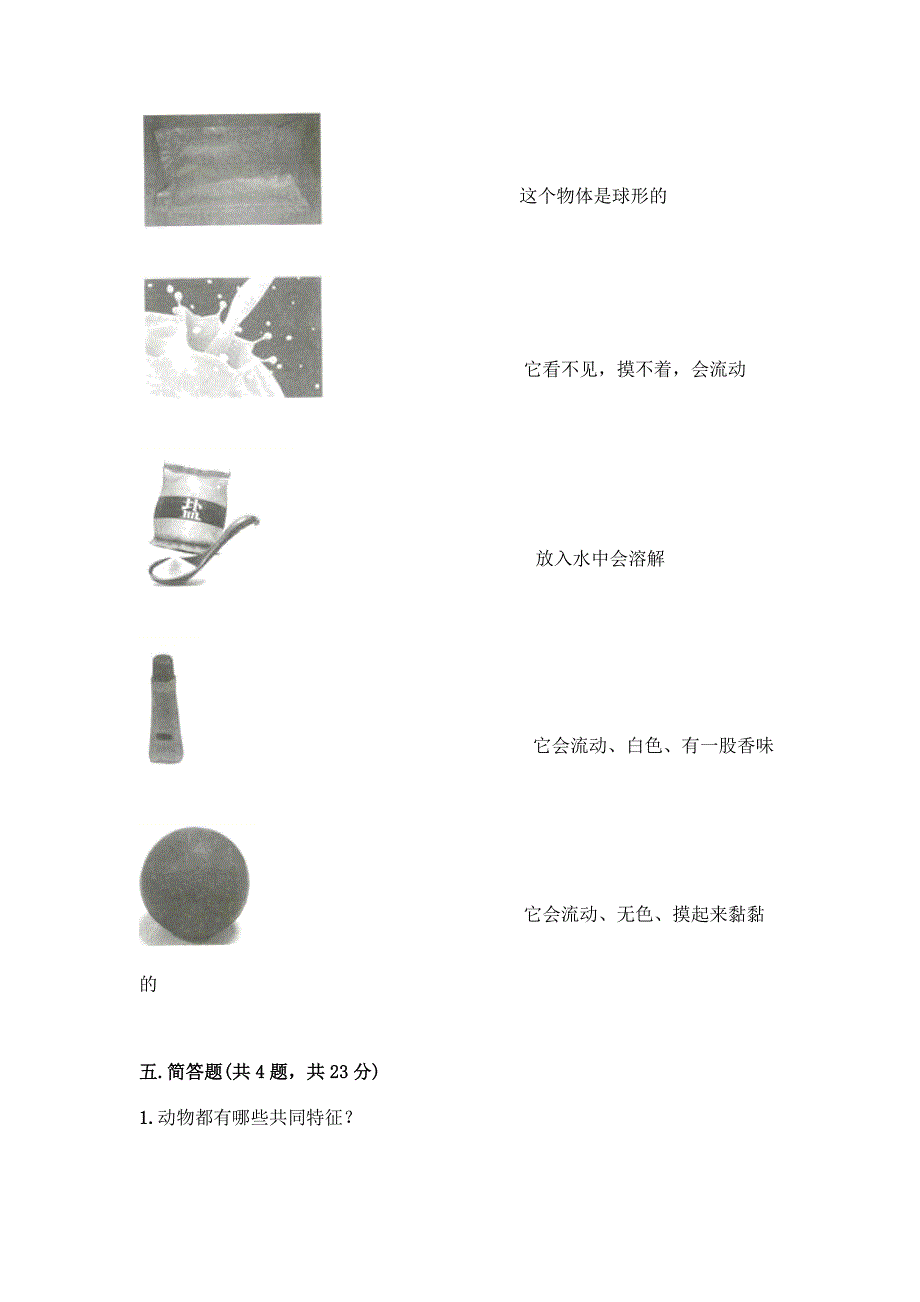 一年级下册科学期末测试卷带答案【突破训练】.docx_第3页