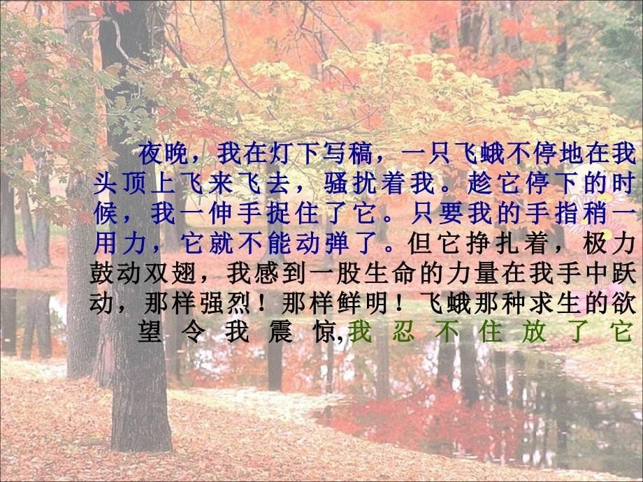 生命生命223_第5页