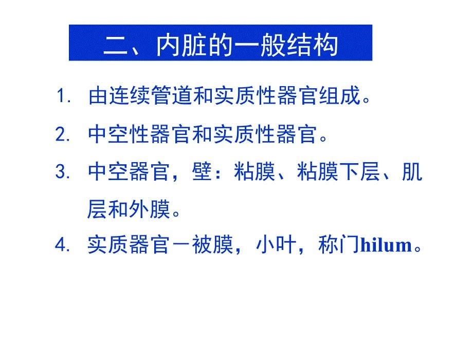 内脏总论及消化系统课件_第5页