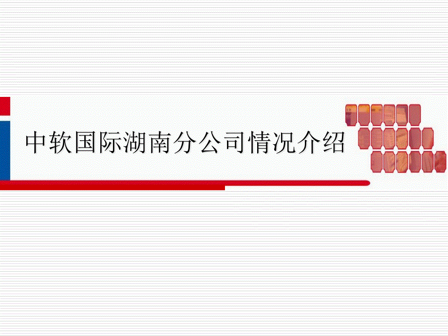 中软国际湖南分公司汇报材料_第1页