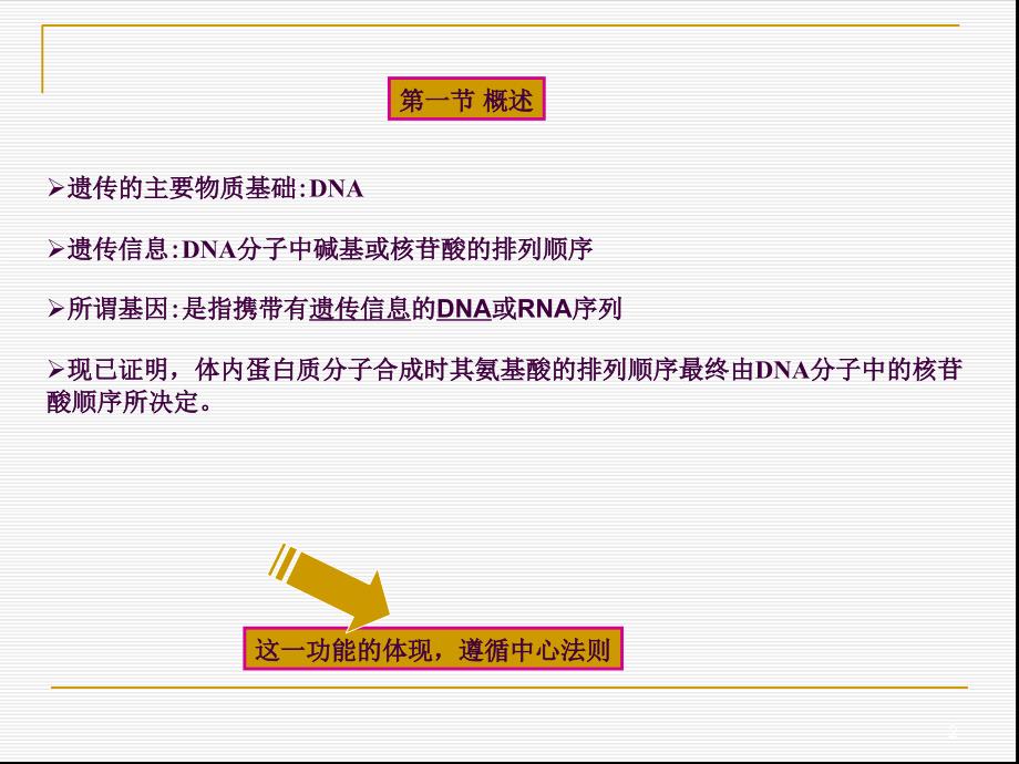 核酸的生物合成ppt课件_第2页