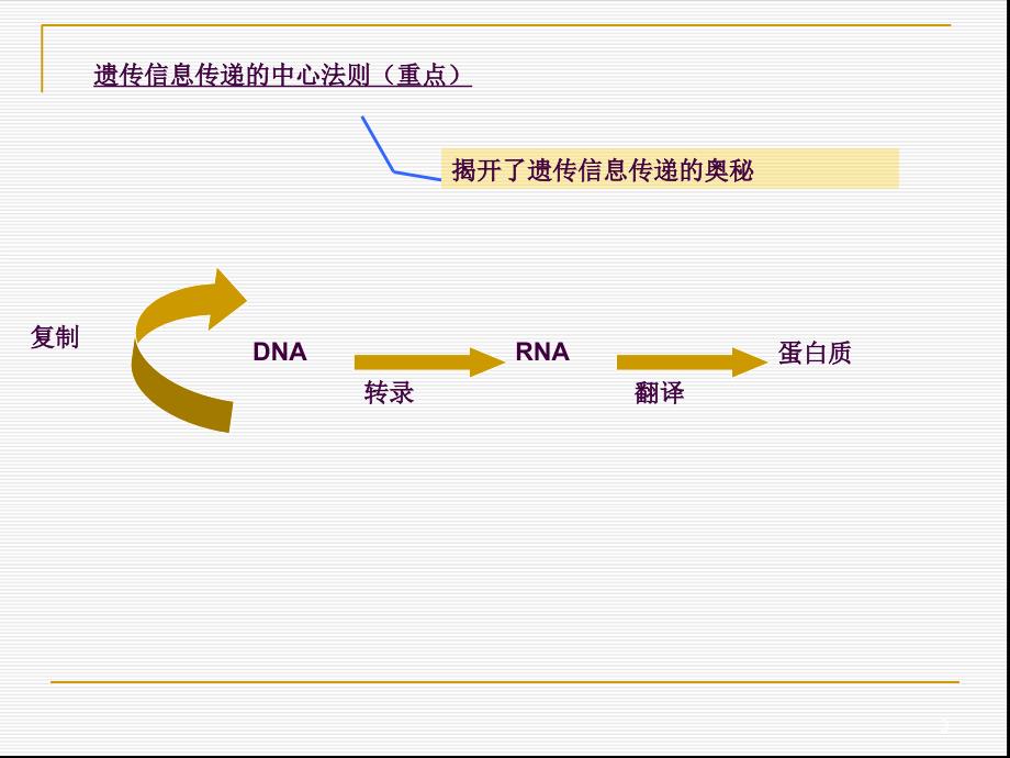 核酸的生物合成ppt课件_第3页