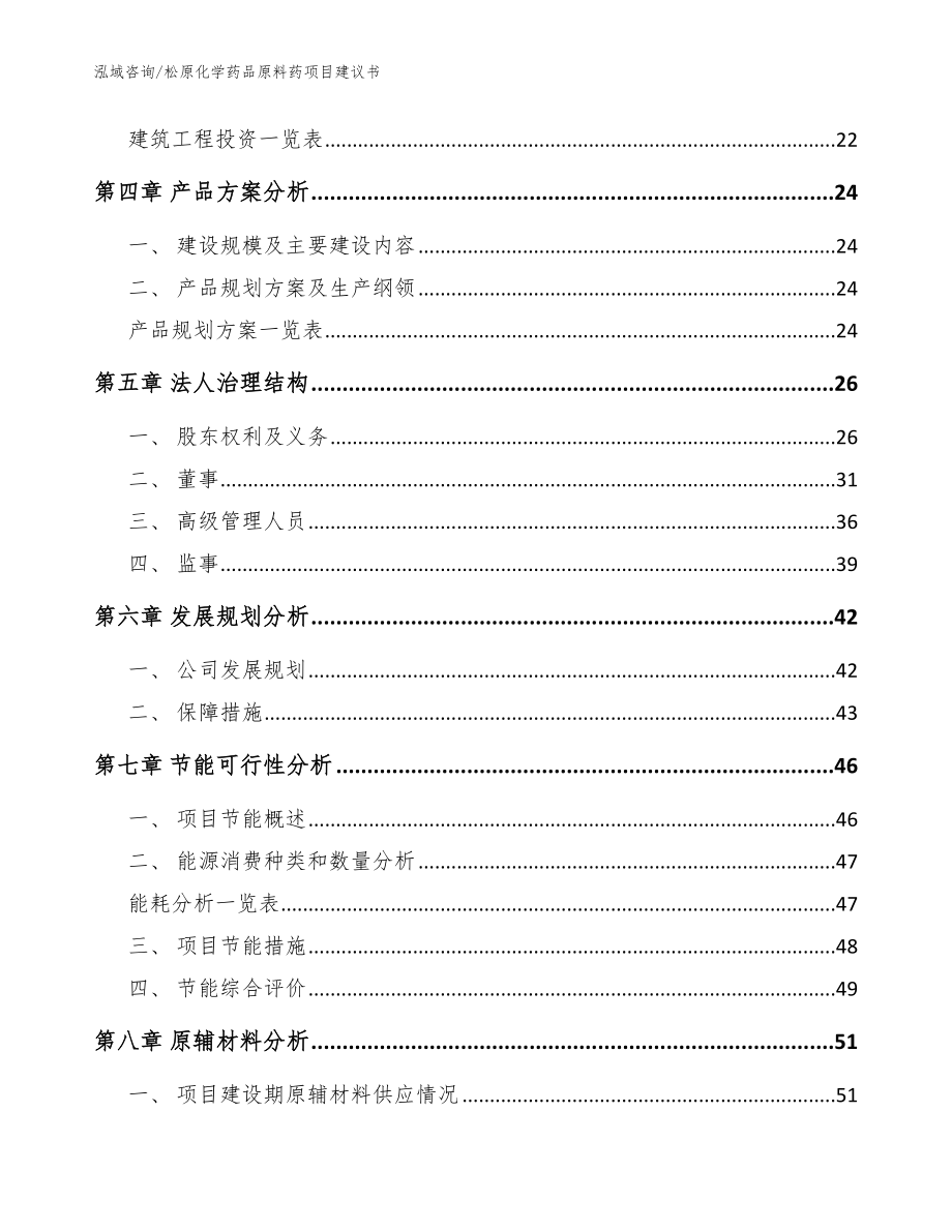 松原化学药品原料药项目建议书（模板参考）_第2页