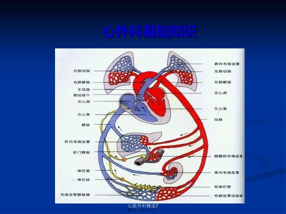 心脏外科概述7课件_第3页