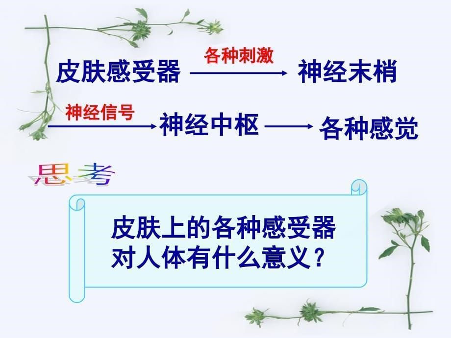 沪科版生物高中第二册5.1动物体对外界信息的获取_第5页