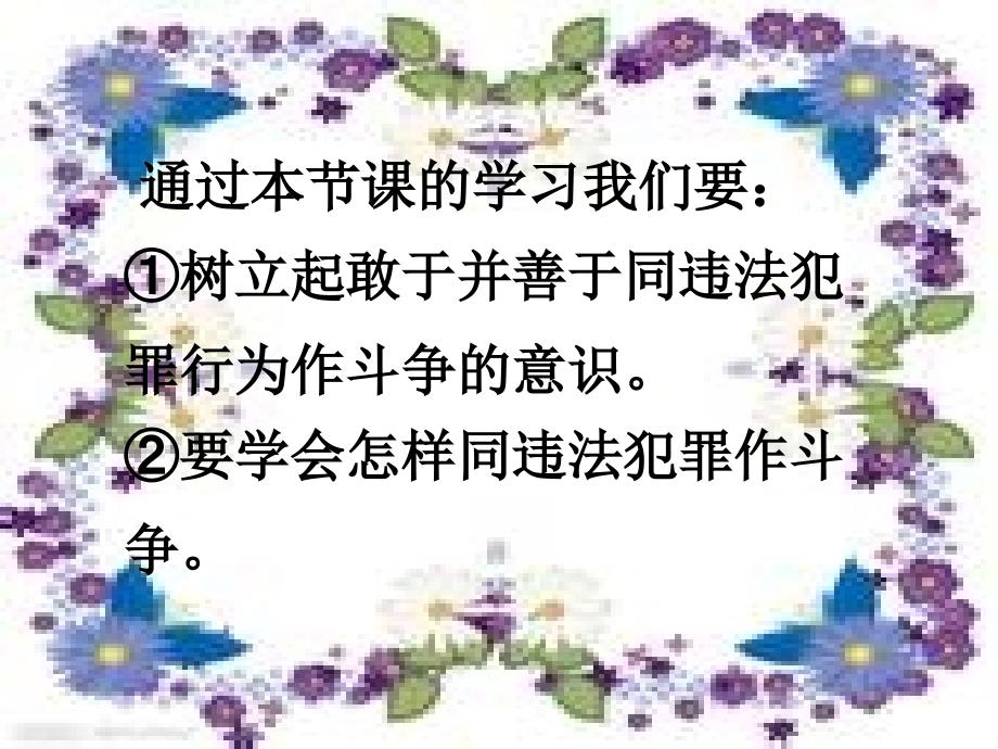 做守法护法的好公民_第4页