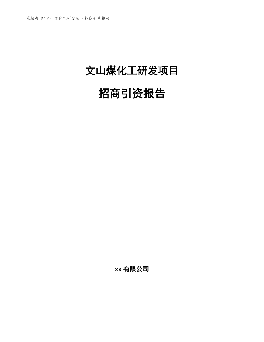 文山煤化工研发项目招商引资报告（模板）_第1页