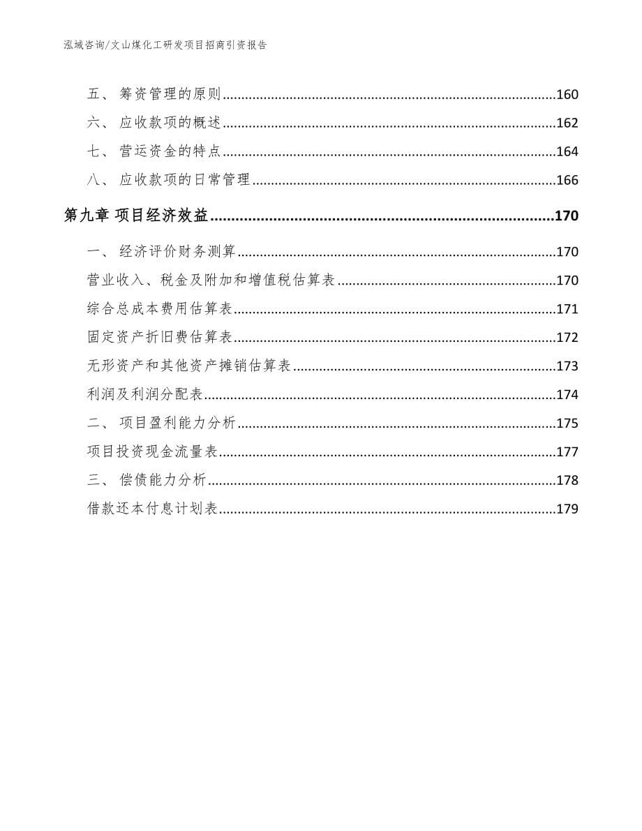 文山煤化工研发项目招商引资报告（模板）_第5页