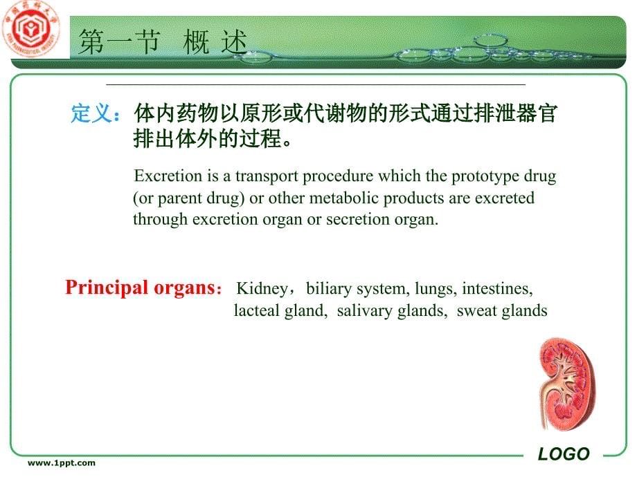 药剂学课件：第六章 药物排泄_第5页