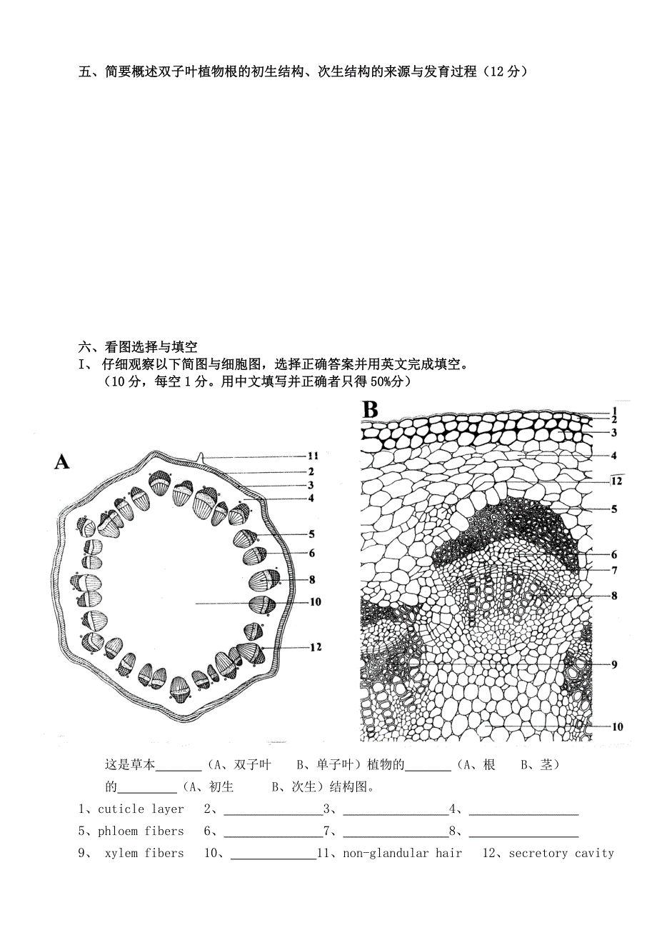 药用植物学试题_第4页