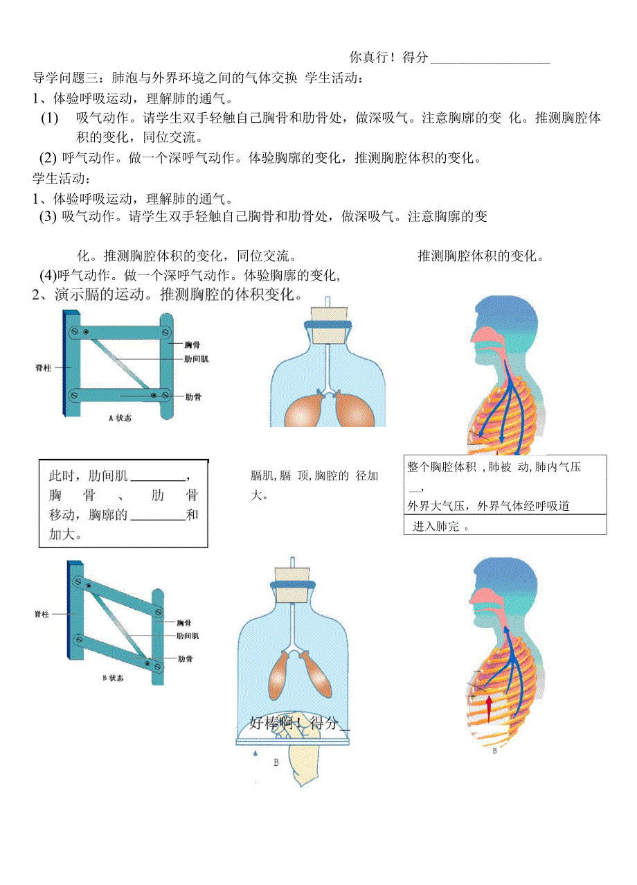 人体与外界的气体交换_第2页