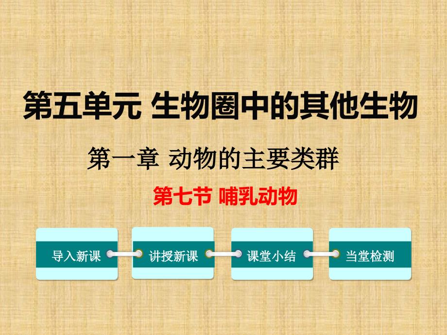 初中八年级生物上册第五单元第一章第七节哺乳动物名师优质课件2新版新人教版_第1页