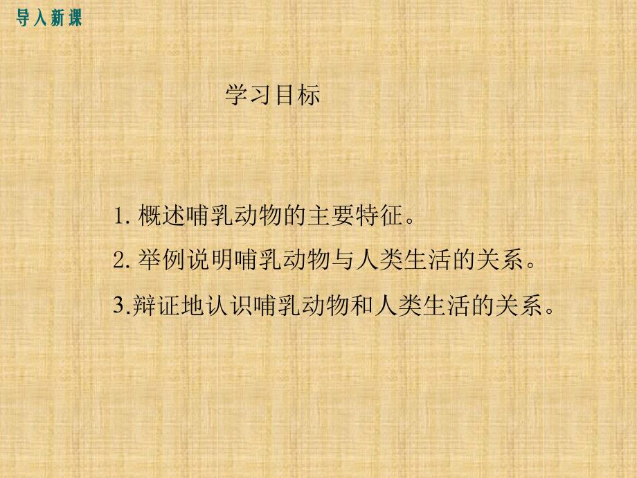 初中八年级生物上册第五单元第一章第七节哺乳动物名师优质课件2新版新人教版_第3页