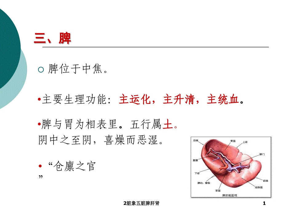 脏象五脏脾肝肾课件_第1页