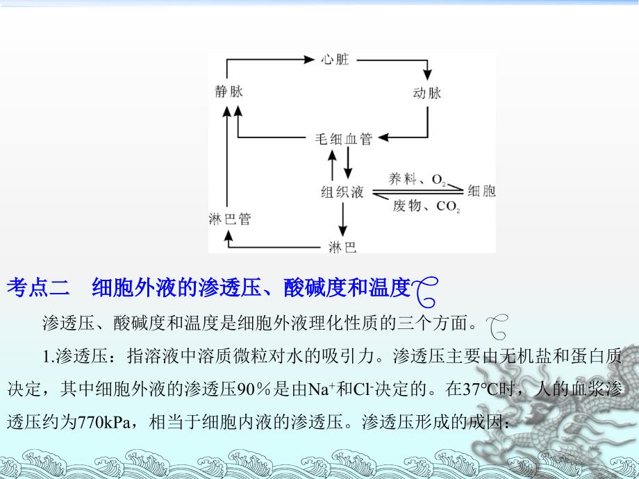 人体的内环境和稳态.ppt.ppt_第4页