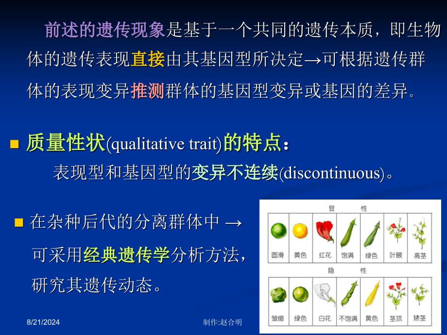 《数量性状的遗传》PPT课件_第3页