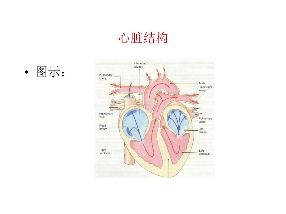 急救初级救生术_第4页