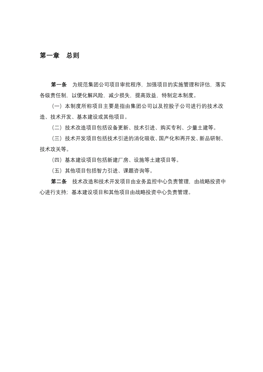天能集团子公司项目立项管理制度_第4页