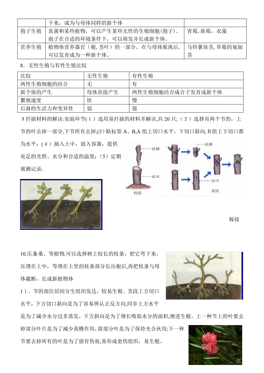 初三生物下册复习知识要点_第2页