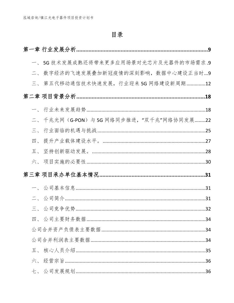 镇江光电子器件项目投资计划书模板范文_第2页