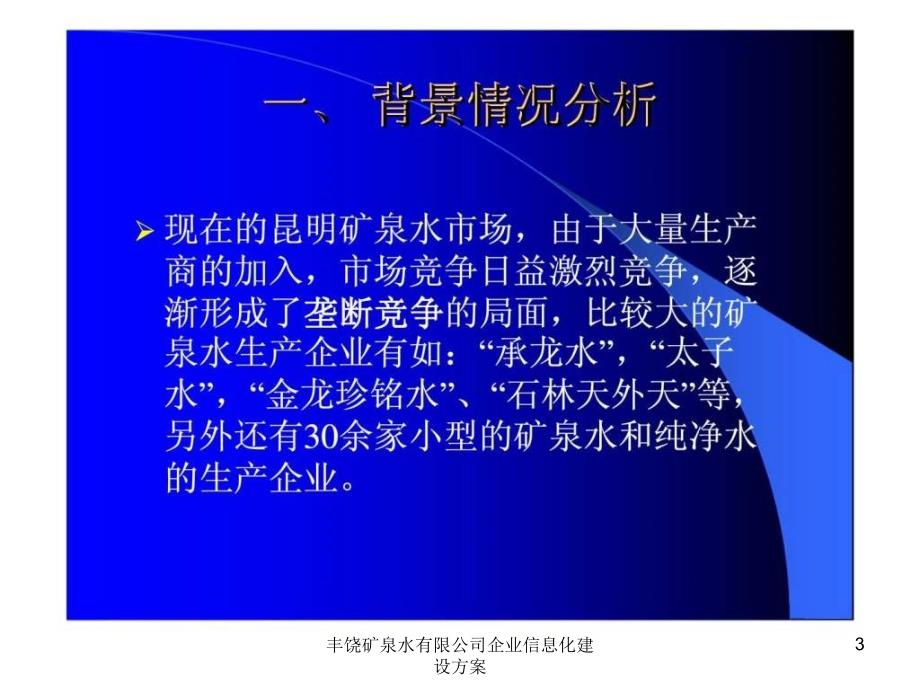 丰饶矿泉水有限公司企业信息化建设方案课件_第3页