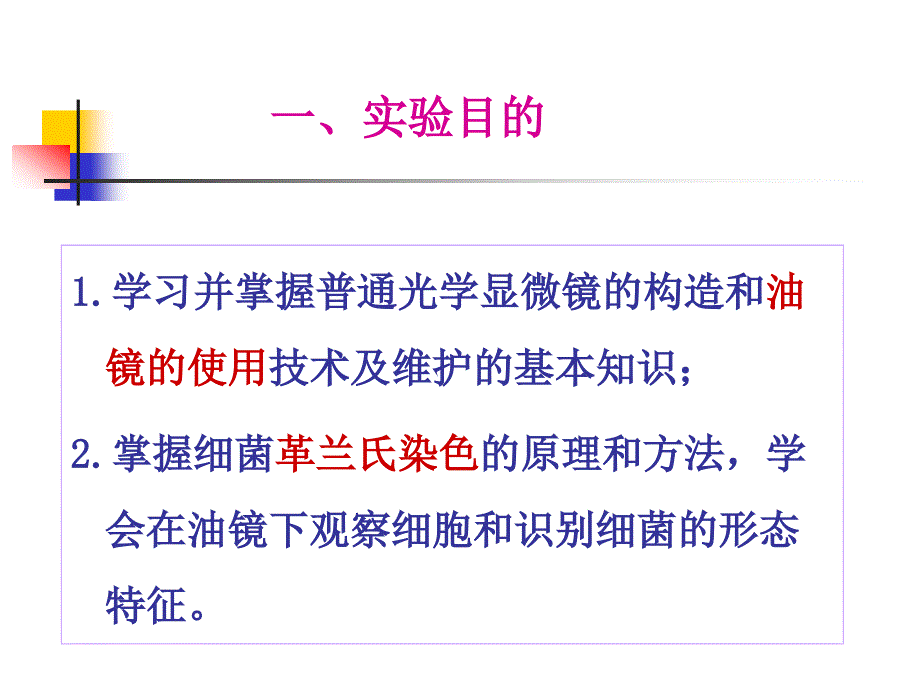 实验二显微镜油镜的使用、细胞形态的观察及革兰氏染色.ppt_第2页