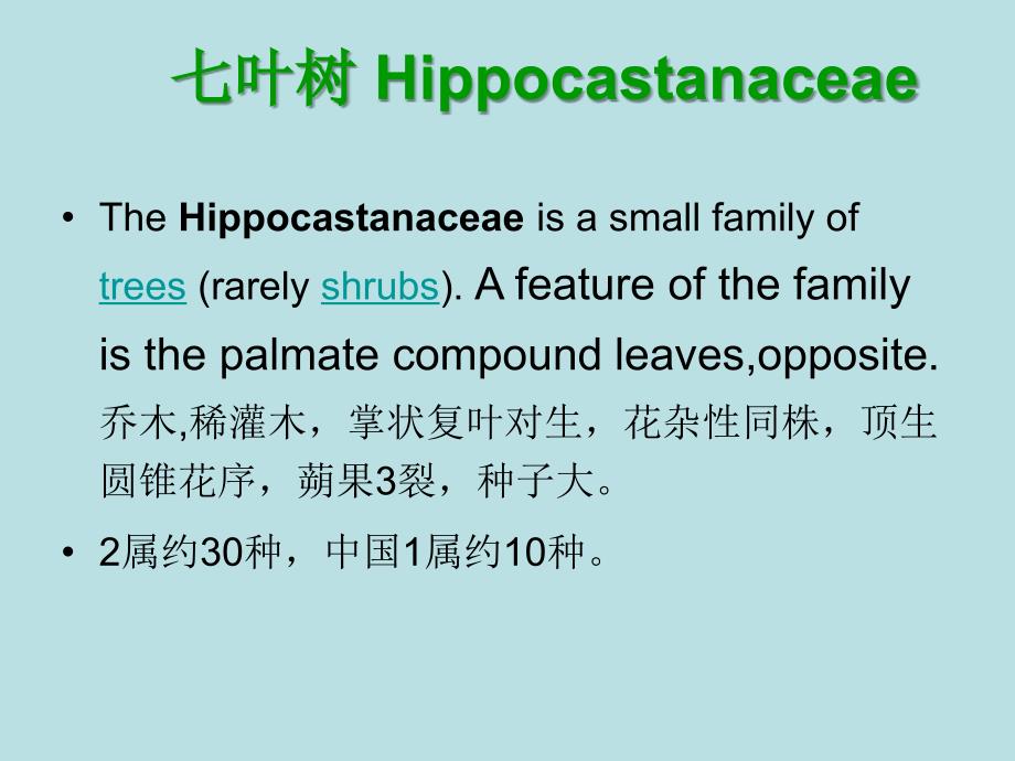 园林树木学西农吉文丽被子植物门6_第1页