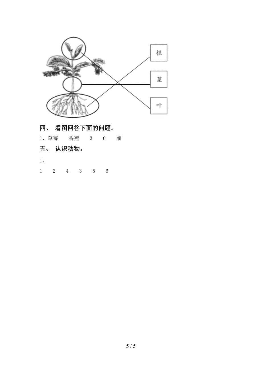 教科版小学一年级科学(上册)期中试卷及答案(全面).doc_第5页