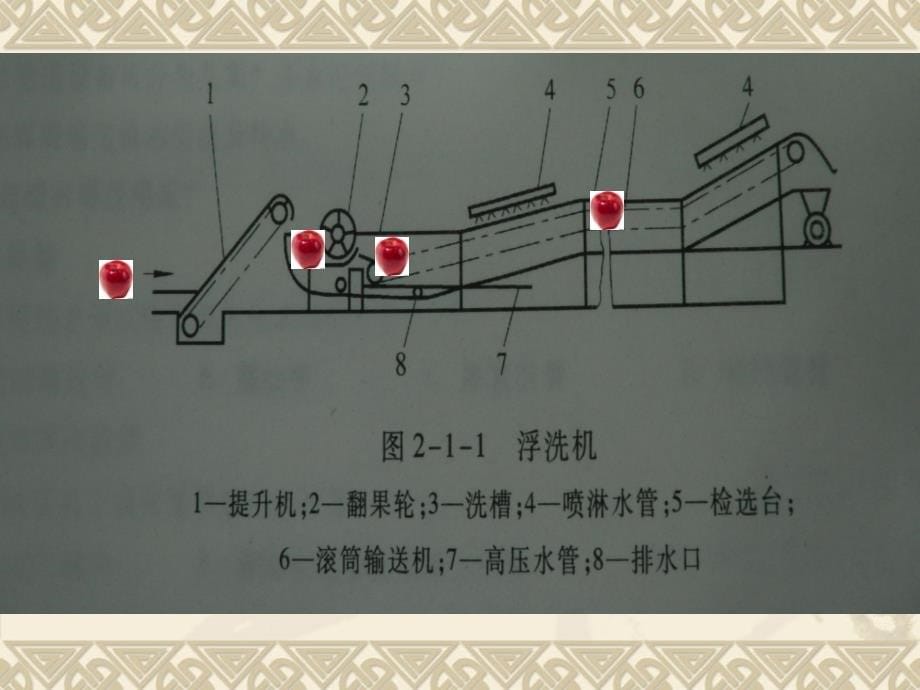 食品机械与设备第二章原料预处理机械与设备部分内容_第5页