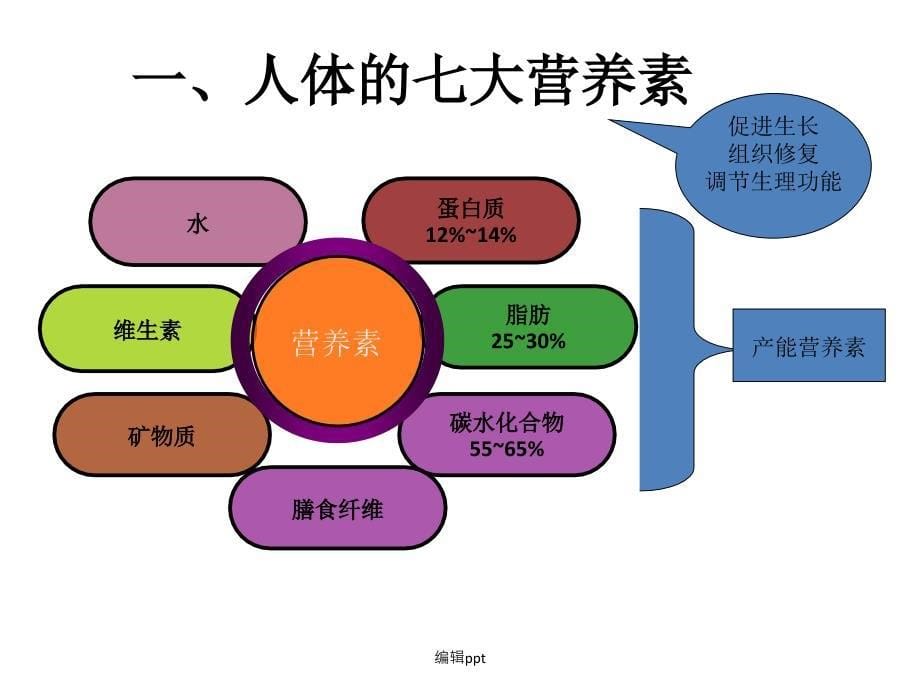 小学生营养与健康讲座_第5页