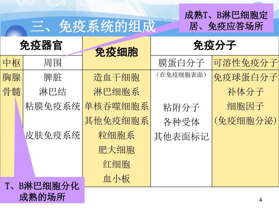 高IgM综合征ppt课件_第4页