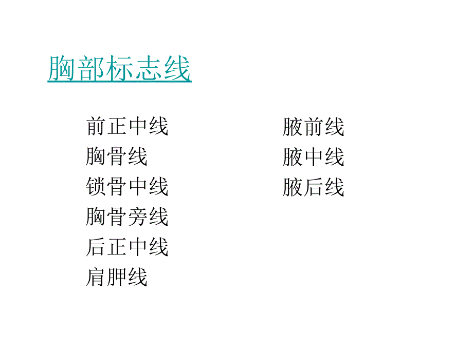 胸前区自由上肢浅层腋窝.ppt_第2页