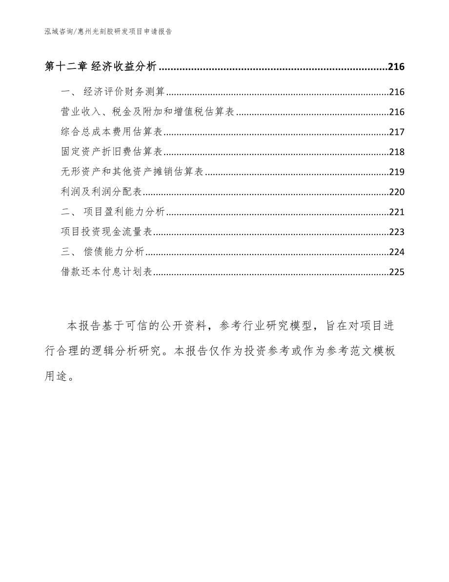 惠州光刻胶研发项目申请报告_第5页